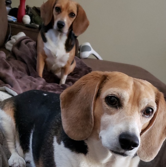 Meet your Posher, Alyssa - Picture 2 of 3